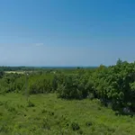 فيلة In Croatia Near The Coast