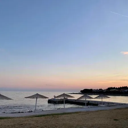 In Croatia Near The Coast *