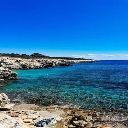 فيلة In Croatia Near The Coast *