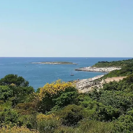 In Croatia Near The Coast *