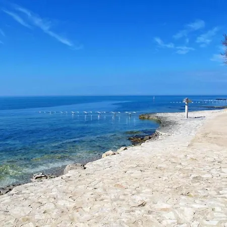 In Croatia Near The Coast *